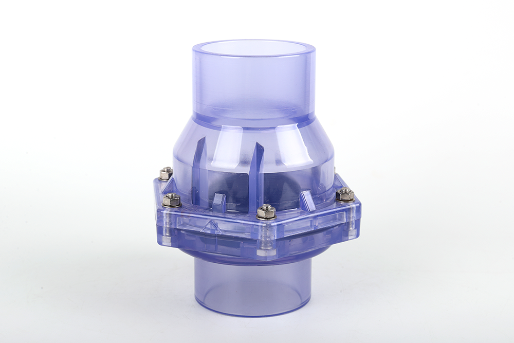 阳新透明翻板式止回阀